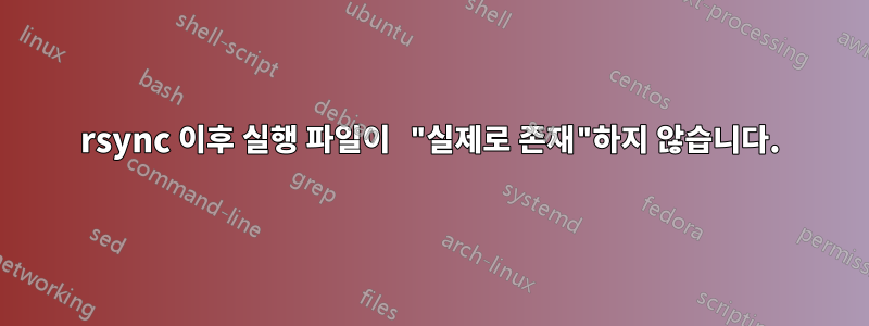 rsync 이후 실행 파일이 "실제로 존재"하지 않습니다.