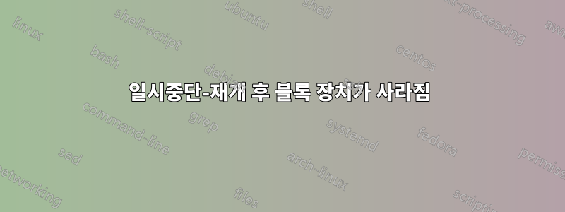 일시중단-재개 후 블록 장치가 사라짐