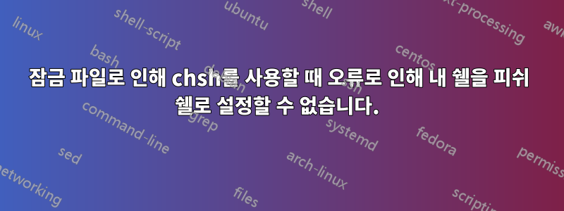 잠금 파일로 인해 chsh를 사용할 때 오류로 인해 내 쉘을 피쉬 쉘로 설정할 수 없습니다. 