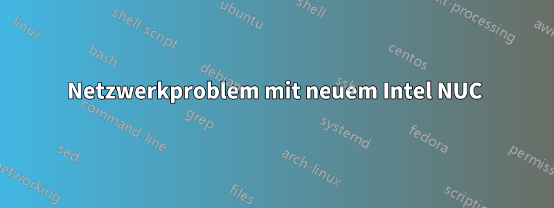 Netzwerkproblem mit neuem Intel NUC