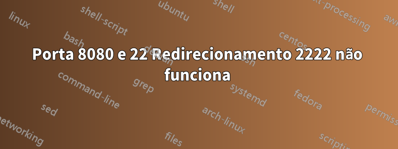 Porta 8080 e 22 Redirecionamento 2222 não funciona