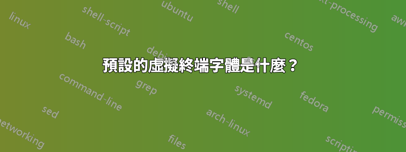 預設的虛擬終端字體是什麼？