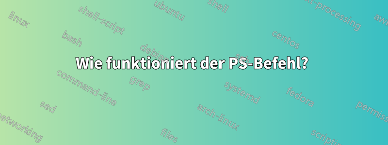 Wie funktioniert der PS-Befehl?