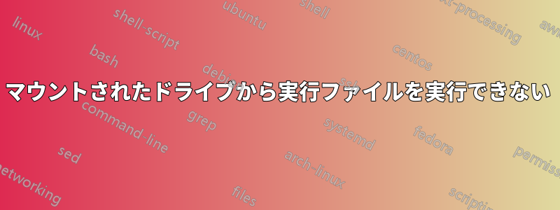 マウントされたドライブから実行ファイルを実行できない