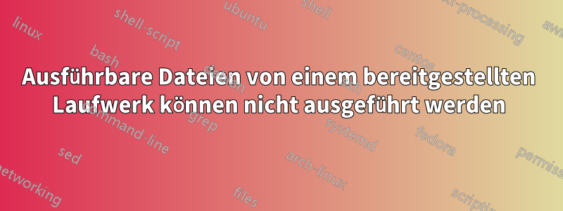 Ausführbare Dateien von einem bereitgestellten Laufwerk können nicht ausgeführt werden