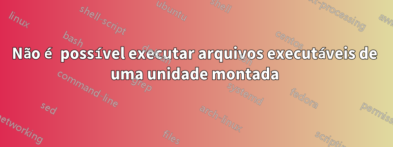 Não é possível executar arquivos executáveis ​​de uma unidade montada