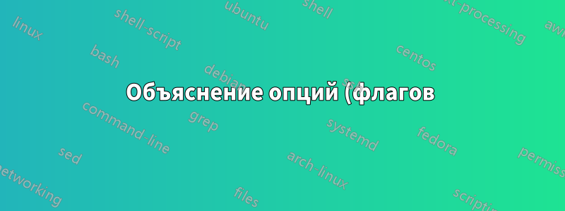 Объяснение опций (флагов) для bash