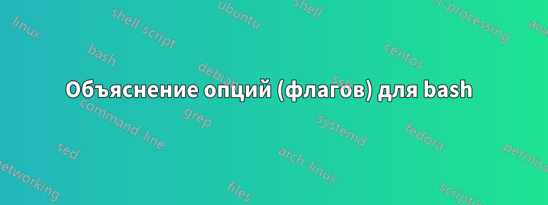 Объяснение опций (флагов) для bash 