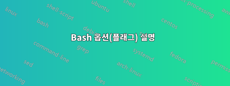 Bash 옵션(플래그) 설명 