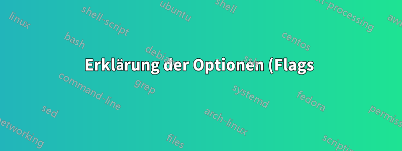 Erklärung der Optionen (Flags) für Bash