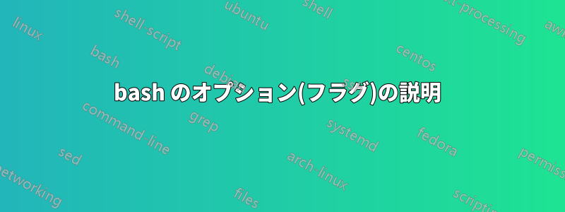 bash のオプション(フラグ)の説明 