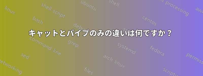 キャットとパイプのみの違いは何ですか？