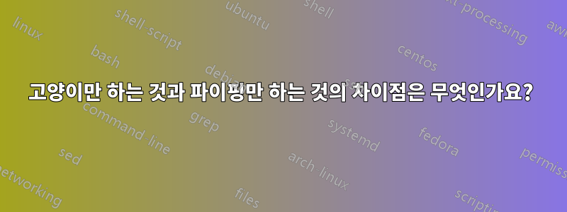 고양이만 하는 것과 파이핑만 하는 것의 차이점은 무엇인가요?