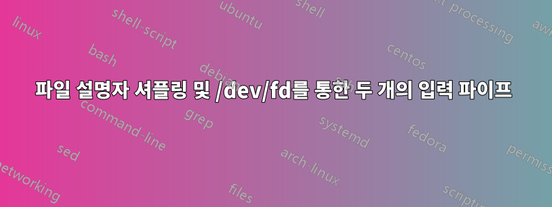 파일 설명자 셔플링 및 /dev/fd를 통한 두 개의 입력 파이프