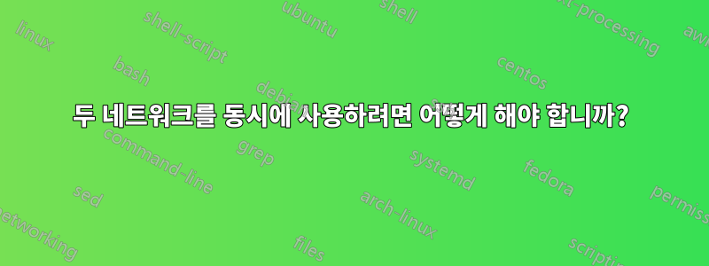 두 네트워크를 동시에 사용하려면 어떻게 해야 합니까?