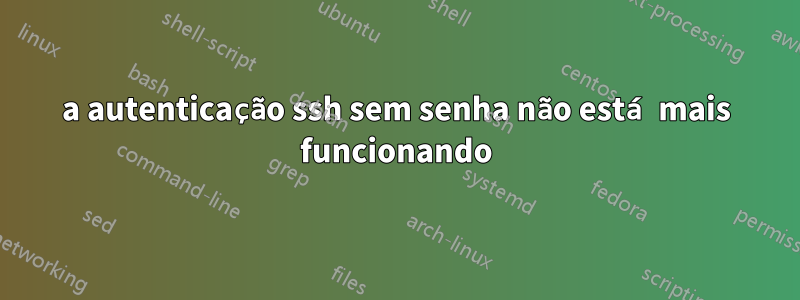 a autenticação ssh sem senha não está mais funcionando