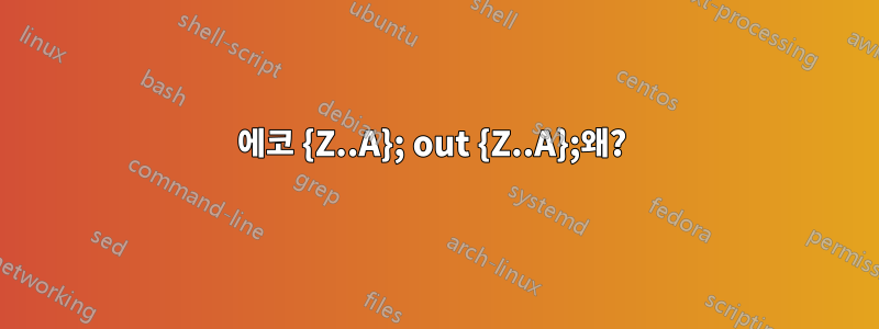 에코 {Z..A}; out {Z..A};왜? 