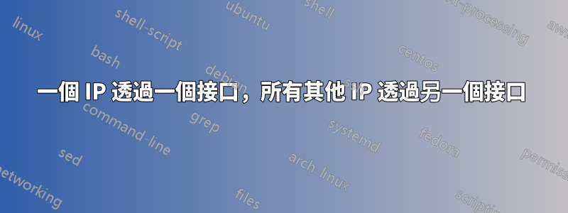 一個 IP 透過一個接口，所有其他 IP 透過另一個接口