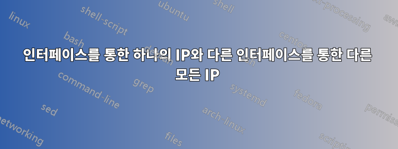 인터페이스를 통한 하나의 IP와 다른 인터페이스를 통한 다른 모든 IP