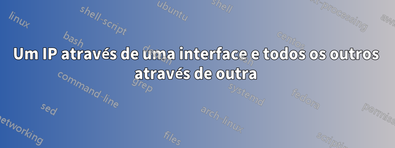 Um IP através de uma interface e todos os outros através de outra