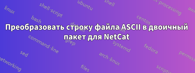 Преобразовать строку файла ASCII в двоичный пакет для NetCat