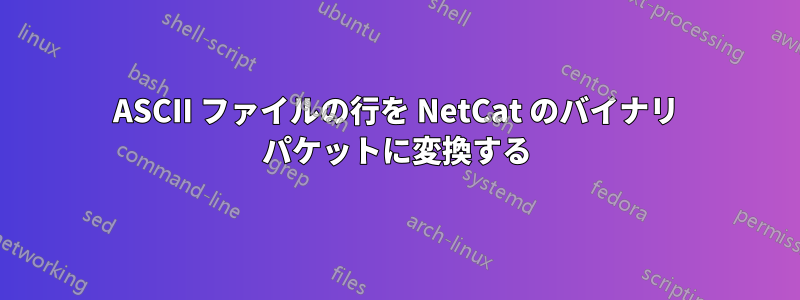 ASCII ファイルの行を NetCat のバイナリ パケットに変換する