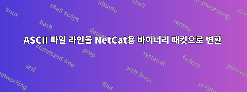 ASCII 파일 라인을 NetCat용 바이너리 패킷으로 변환