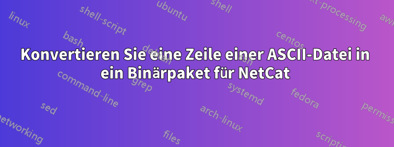 Konvertieren Sie eine Zeile einer ASCII-Datei in ein Binärpaket für NetCat