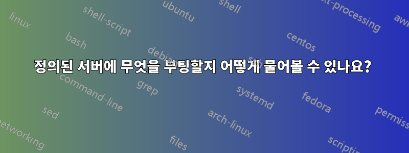 정의된 서버에 무엇을 부팅할지 어떻게 물어볼 수 있나요?