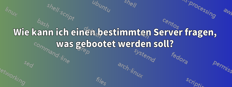 Wie kann ich einen bestimmten Server fragen, was gebootet werden soll?