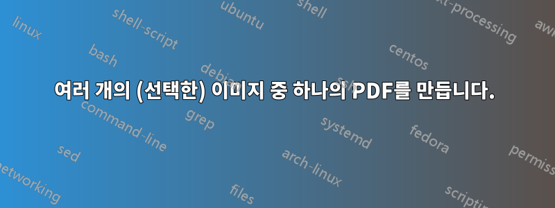 여러 개의 (선택한) 이미지 중 하나의 PDF를 만듭니다.