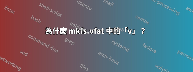 為什麼 mkfs.vfat 中的「v」？