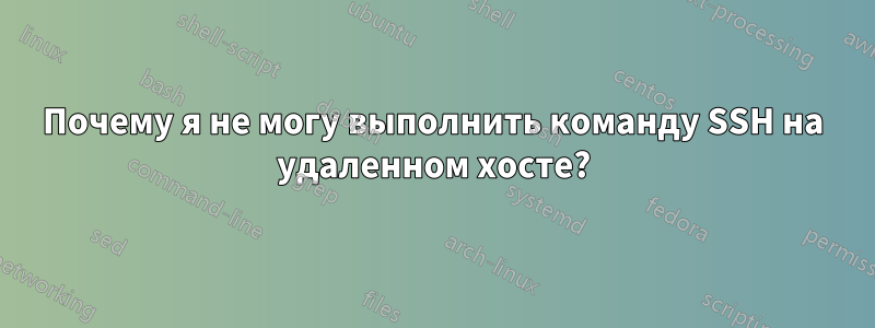 Почему я не могу выполнить команду SSH на удаленном хосте?