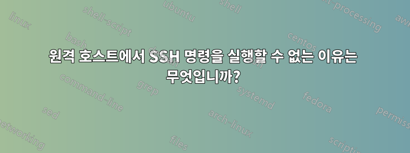 원격 호스트에서 SSH 명령을 실행할 수 없는 이유는 무엇입니까?