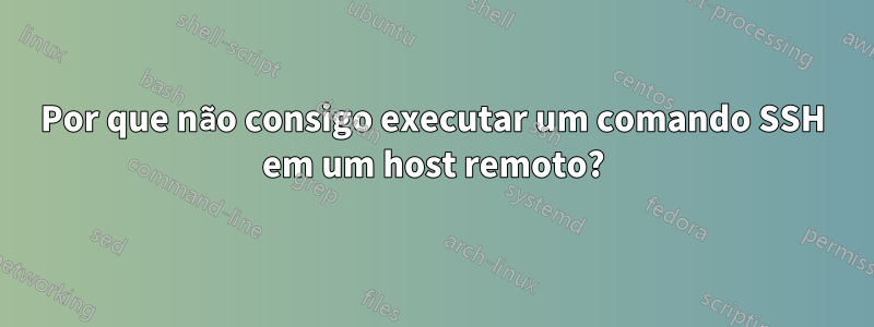 Por que não consigo executar um comando SSH em um host remoto?