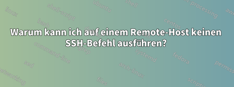 Warum kann ich auf einem Remote-Host keinen SSH-Befehl ausführen?