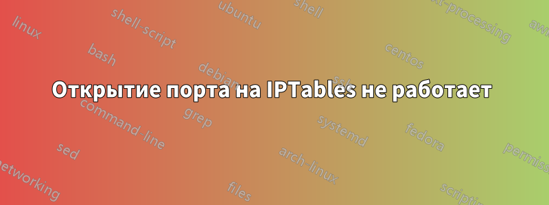 Открытие порта на IPTables не работает