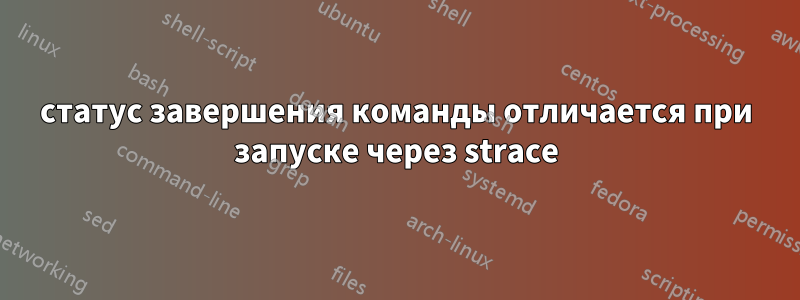 статус завершения команды отличается при запуске через strace