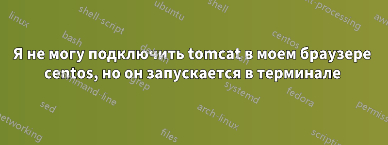 Я не могу подключить tomcat в моем браузере centos, но он запускается в терминале