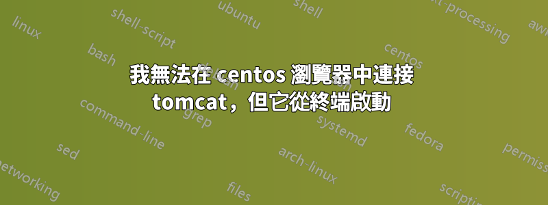 我無法在 centos 瀏覽器中連接 tomcat，但它從終端啟動