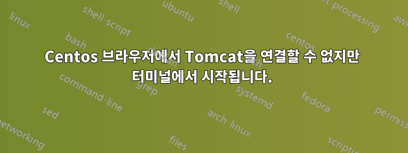 Centos 브라우저에서 Tomcat을 연결할 수 없지만 터미널에서 시작됩니다.