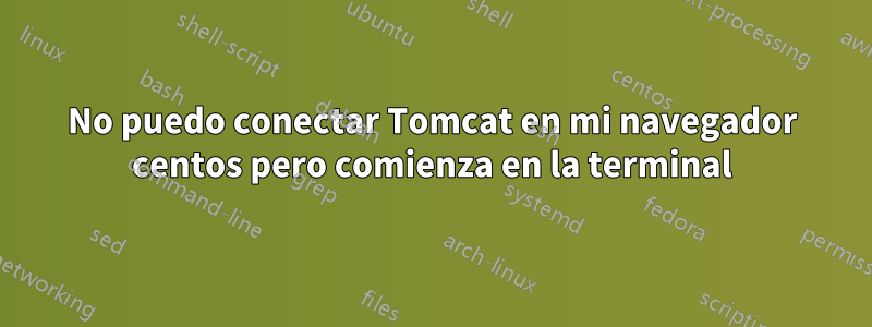 No puedo conectar Tomcat en mi navegador centos pero comienza en la terminal