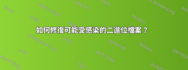 如何修復可能受感染的二進位檔案？ 