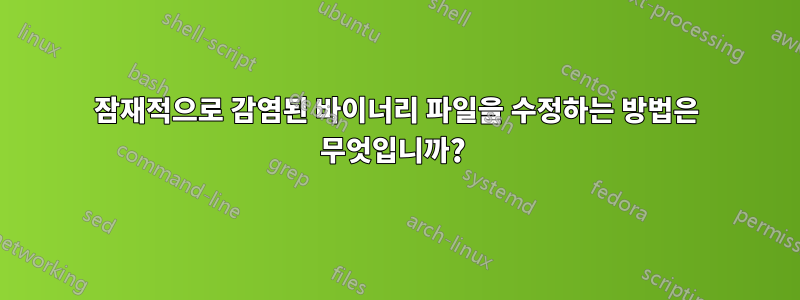 잠재적으로 감염된 바이너리 파일을 수정하는 방법은 무엇입니까? 