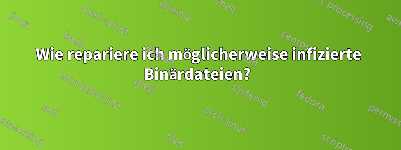 Wie repariere ich möglicherweise infizierte Binärdateien? 