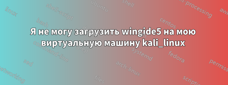 Я не могу загрузить wingide5 на мою виртуальную машину kali_linux