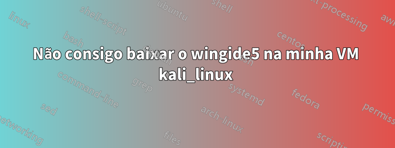 Não consigo baixar o wingide5 na minha VM kali_linux