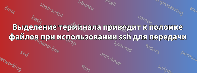 Выделение терминала приводит к поломке файлов при использовании ssh для передачи