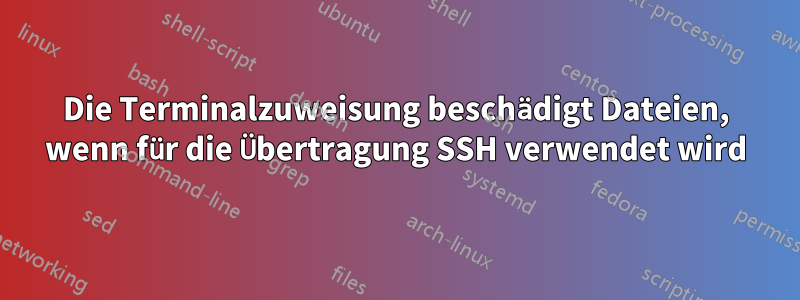 Die Terminalzuweisung beschädigt Dateien, wenn für die Übertragung SSH verwendet wird