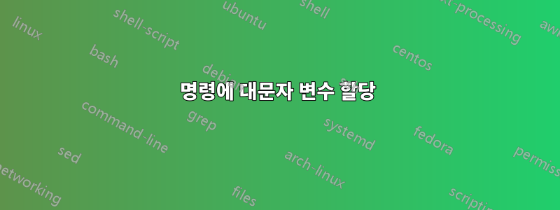 명령에 대문자 변수 할당